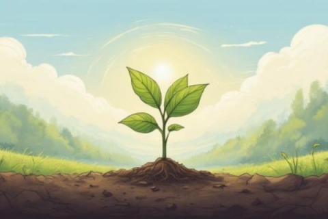 POTENZIALE DI SVILUPPO NELL’ESSERE UMANO