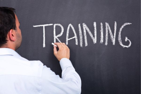 LA FORMAZIONE NEL MONDO DEL LAVORO