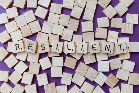 la resilienza la resilienza